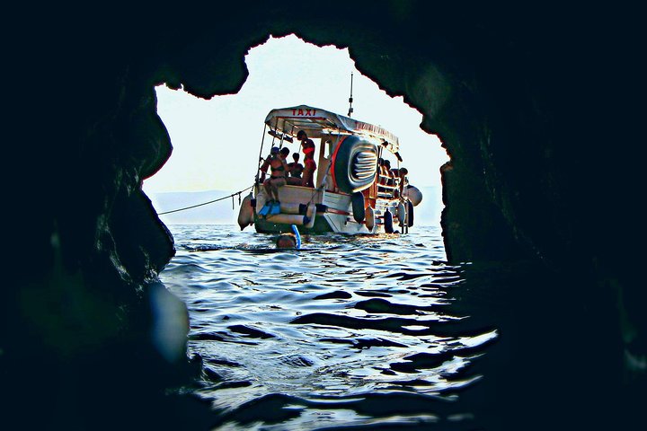 Excursion privée d'une demi-journée en bateau sur l'île Plavnik avec le capitaine. Bobo