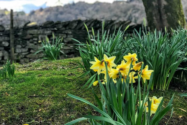 Lake District Adventure Sightseeing Day Tour from Chester