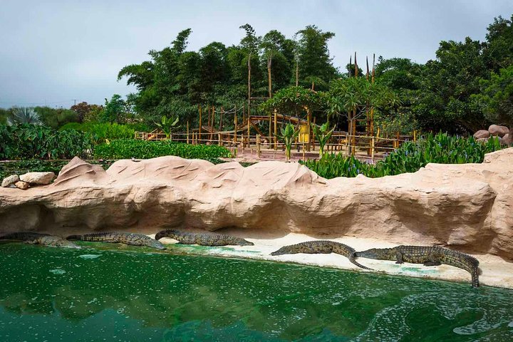Agadir 3 - in - 1 Tour : Capre sugli alberi Souk El Had Crocoparc Biglietti