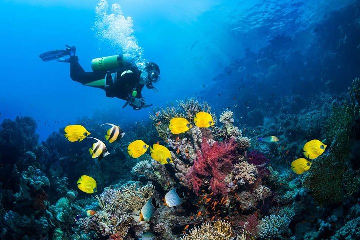 Buceo en Tulamben Buceo en el naufragio del USS Liberty