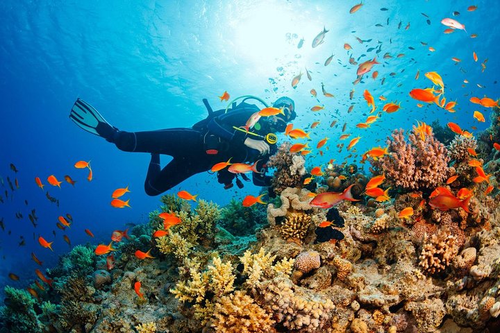 Buceo en Tulamben Buceo en el naufragio del USS Liberty