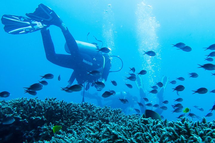 Buceo en Tulamben Buceo en el naufragio del USS Liberty