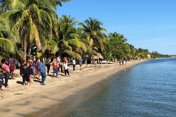 Aeropuerto de Dangriga Town a Hopkins Village