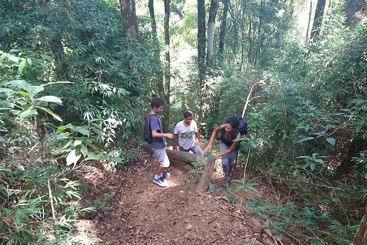Ilha Grande: Pico do Papagaio - Escursione privata - Alba o giorno