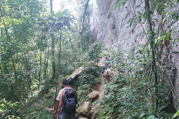 Ilha Grande: Pico do Papagaio - Escursione privata - Alba o giorno