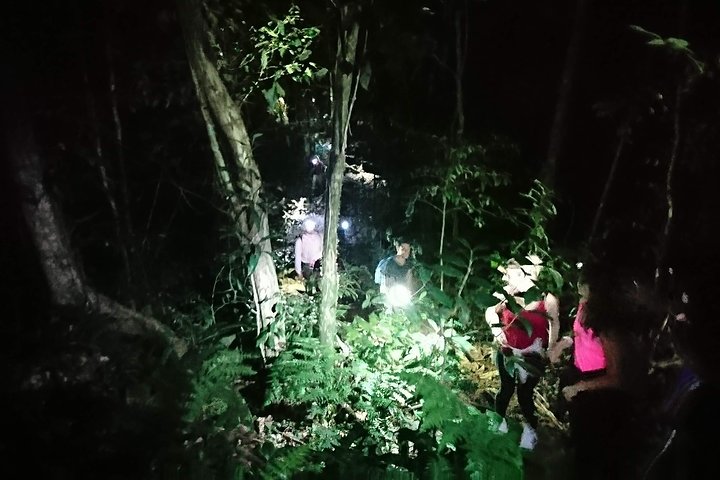Ilha Grande: Pico do Papagaio - Escursione privata - Alba o giorno