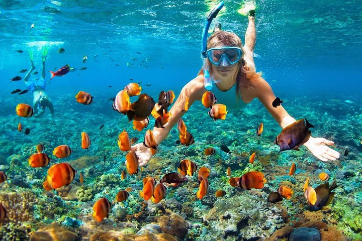 V.I.P Snorkel- og fisketur (hurtigbåt) Minimum 02 personer