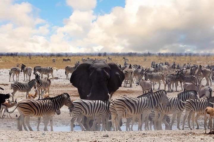 6 DÍAS ETOSHA, SWAKOPMUND Y SOSSUSVLEI- NAMIBIA (Alojamiento)