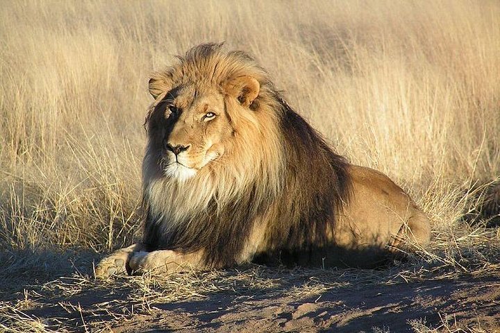 6 DÍAS ETOSHA, SWAKOPMUND Y SOSSUSVLEI- NAMIBIA (Alojamiento)