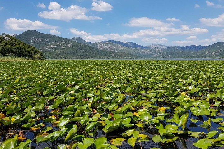 2 ore guidate - Tour Natura di Gruppo (degustazione vino locale in tour)