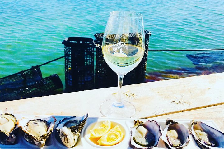 Tour di Oyster Farm con prelievo dall'hotel e ritorno da Port Lincoln