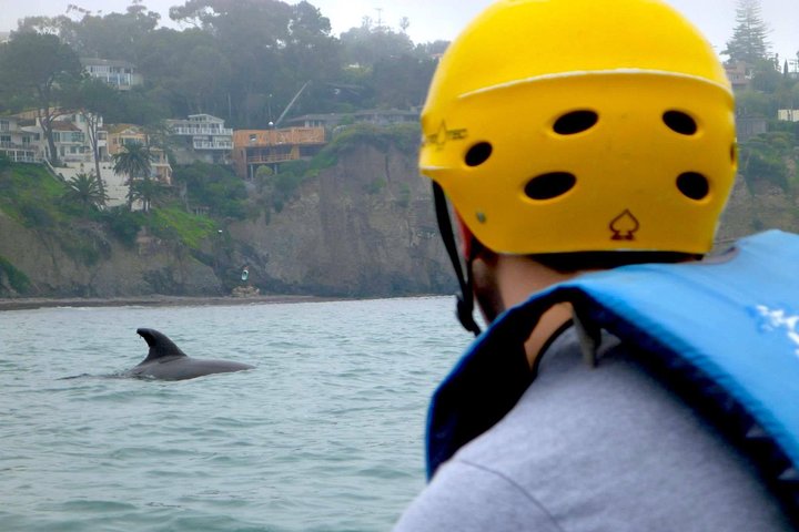 La Jolla Sea Caves Kajaktur för två (Tandem Kayak)