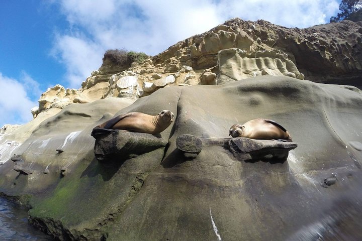 La Jolla Sea Caves Kajaktur för två (Tandem Kayak)