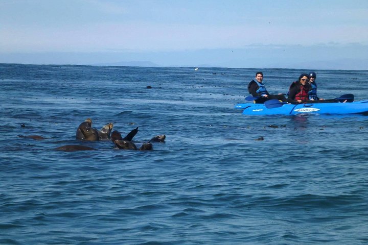 La Jolla Sea Caves Kajaktur för två (Tandem Kayak)