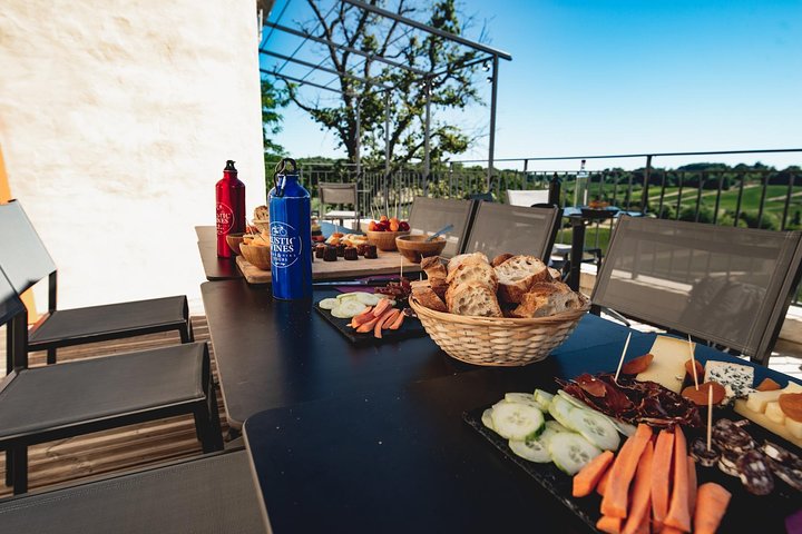 Desde Saint-Emilion: tour de un día en bicicleta eléctrica con degustaciones de vino y almuerzo tipo picnic