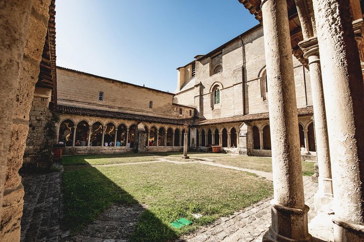 Desde Saint-Emilion: tour de un día en bicicleta eléctrica con degustaciones de vino y almuerzo tipo picnic