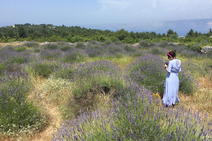 Hidden Hvar Eco Tuk Tuk Tour: Campos de Lavanda, Aldeias e Vistas