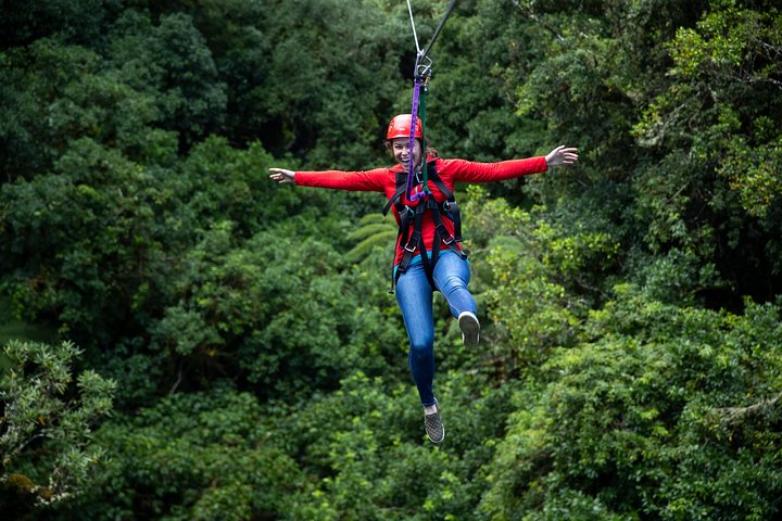 Hoteller i nærheden af Rotorua Canopy Tours: 2.5Hour Native Forest Zipline Adventure