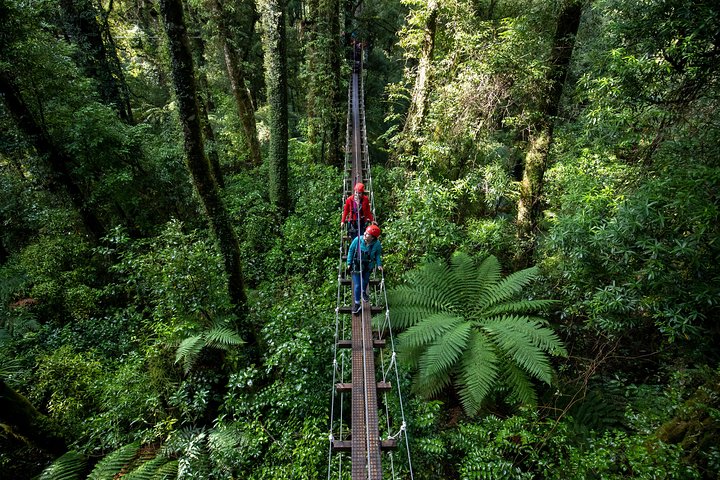 Hoteller i nærheden af Rotorua Canopy Tours: 2.5Hour Native Forest Zipline Adventure