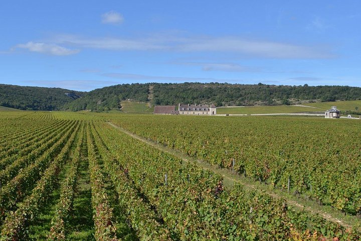 Excursão de dia inteiro para grupos pequenos de Côte de Nuits, Côte de Beaune vinhas e Beaune bairro histórico