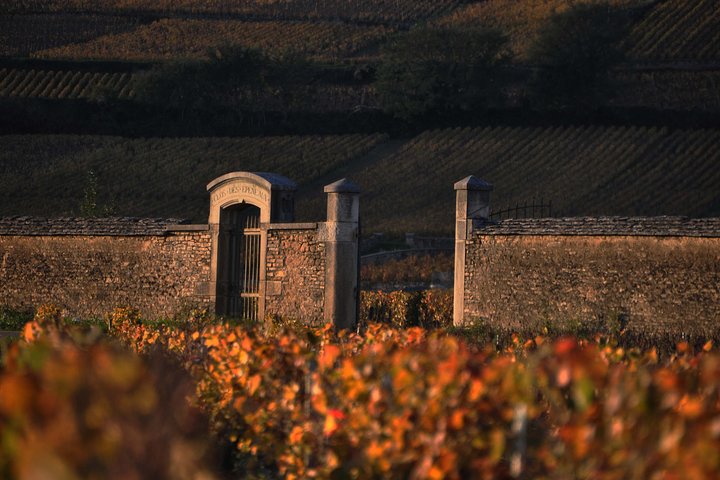 Excursão de dia inteiro para grupos pequenos de Côte de Nuits, Côte de Beaune vinhas e Beaune bairro histórico