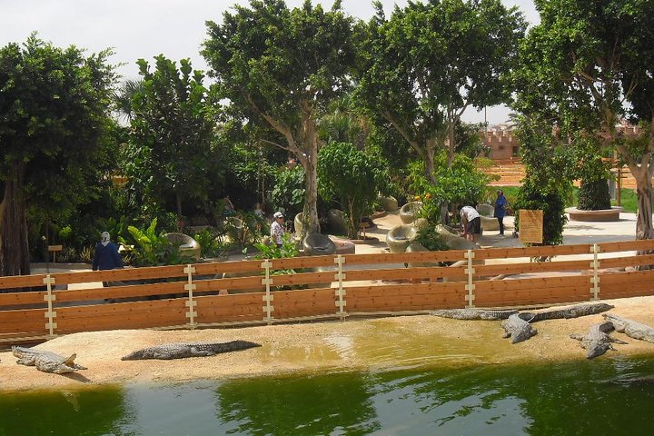 Agadir 3 - in - 1 Tour : Capre sugli alberi Souk El Had Crocoparc Biglietti