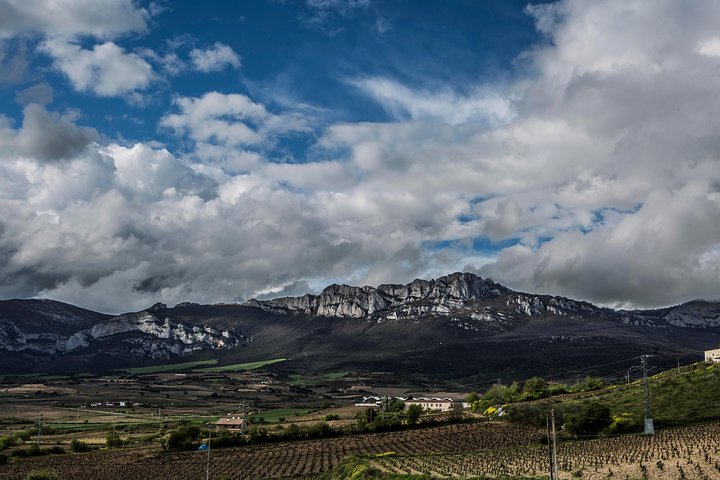 La Rioja viner og Laguardia tur fra Logroño