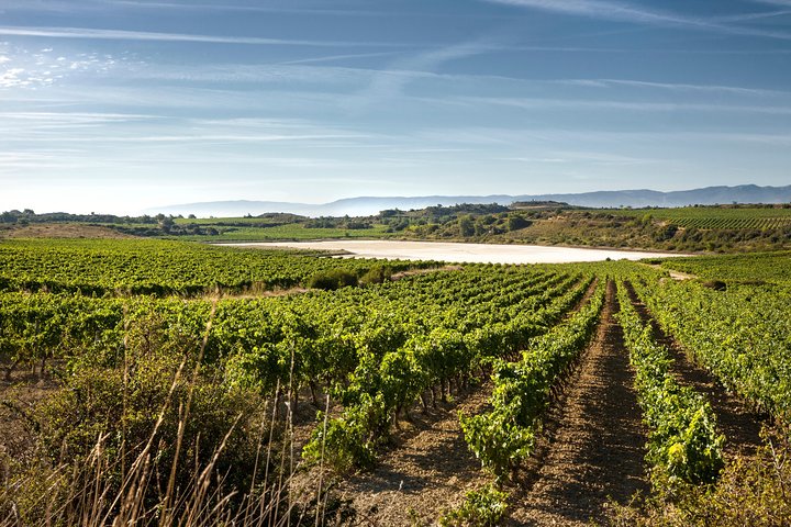 La Rioja viner og Laguardia tur fra Logroño