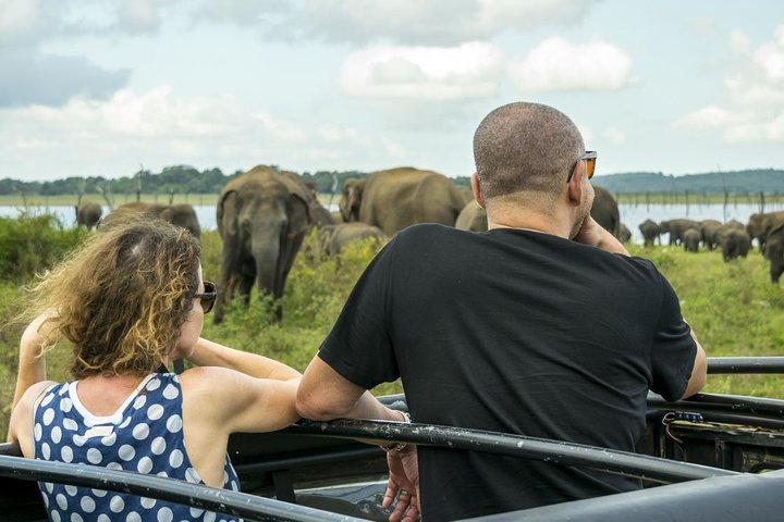 2-tägige Tour durch Udawalawe & Ella mit malerischer Zugfahrt durch das Land - All Inclusive