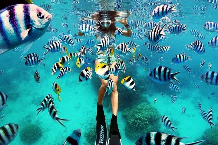 Bunaken 3 - Snorkelplek - Privétour inclusief lunch