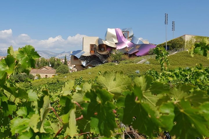 La Rioja viner og Laguardia tur fra Logroño