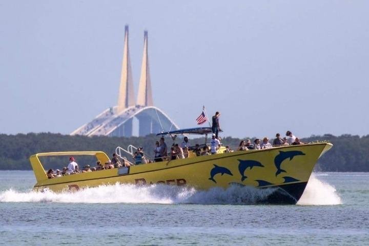 Crucero de aventuras por el Dolphin Racer en St. Pete