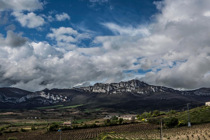 Vin tur: vingård og traditionel frokost fra La Rioja