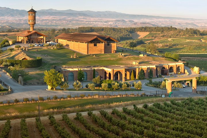 Vin tur: vingård og traditionel frokost fra La Rioja
