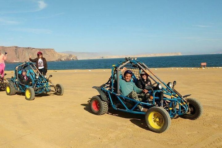 Paracas Fullday - Islas Ballestas og Nationalpark i Minibuggy