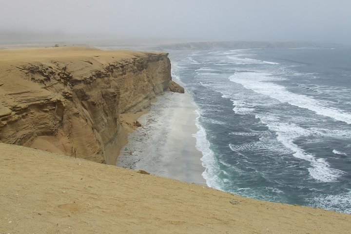 Paracas Fullday - Islas Ballestas og Nationalpark i Minibuggy