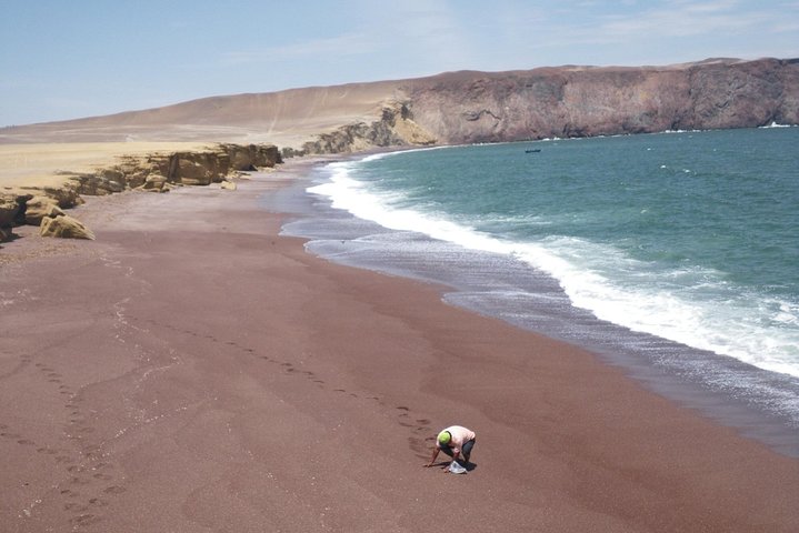Paracas Fullday - Islas Ballestas og Nationalpark i Minibuggy