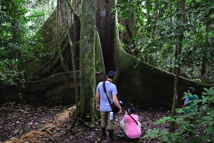 Yasuni National Park 3 dias 2 noites na Amazônia do Equador, quartos confortáveis