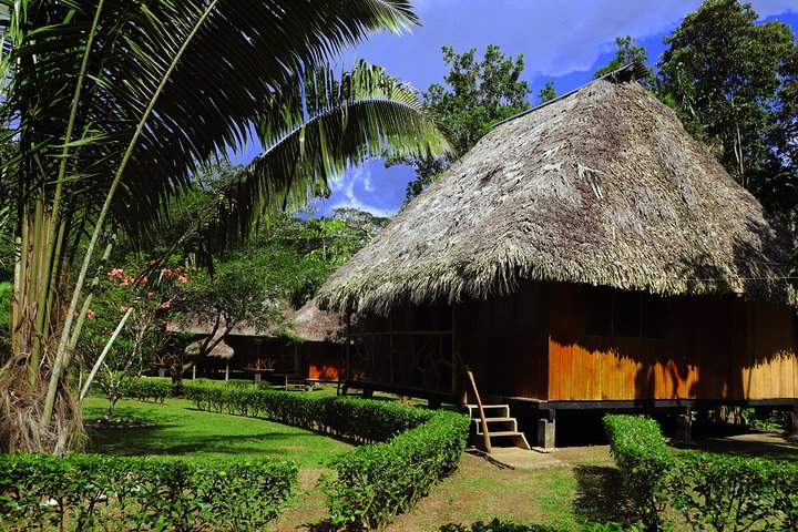 Yasuni National Park 3 dias 2 noites na Amazônia do Equador, quartos confortáveis