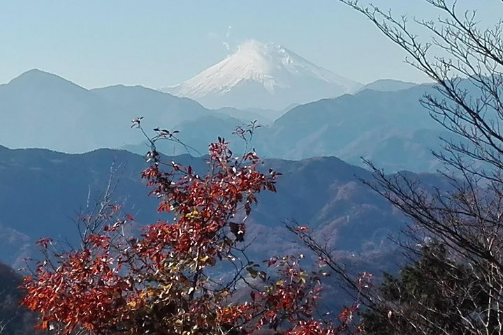 Escursione di un'intera giornata al Monte Takao, inclusa la sorgente termale