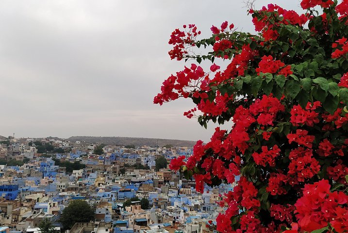 Visite privée de la ville bleue de Jodhpur avec prise en charge et retour à l'hôtel