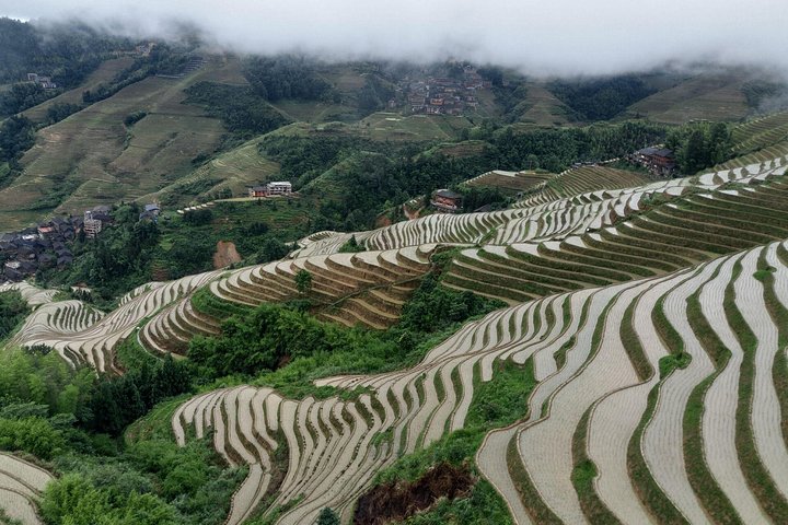 7-dagars privat tur: Från/till Yichang via Zhangjiajie till Guilin