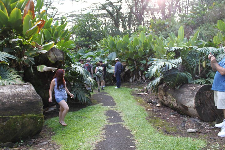 Excursión en tierra de Hilo : Volcán Safari Cuevas de lava & Arena Negra