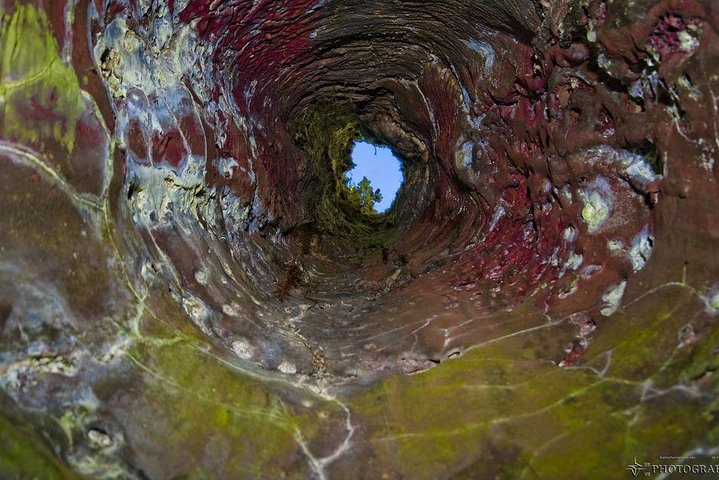 Excursión en tierra de Hilo : Volcán Safari Cuevas de lava & Arena Negra