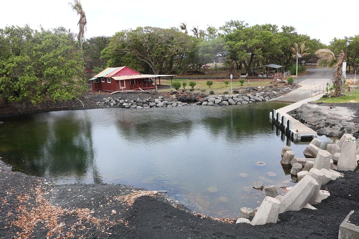 Excursión en tierra de Hilo : Volcán Safari Cuevas de lava & Arena Negra