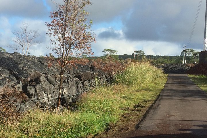 Excursión en tierra de Hilo : Volcán Safari Cuevas de lava & Arena Negra
