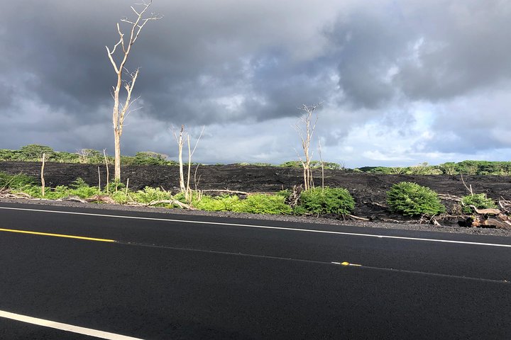 Excursión en tierra de Hilo : Volcán Safari Cuevas de lava & Arena Negra