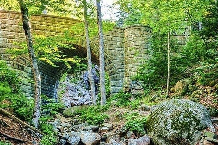 Tour privado de 3 horas por lo mejor de Acadia : Cadillac & Park Loop Road
