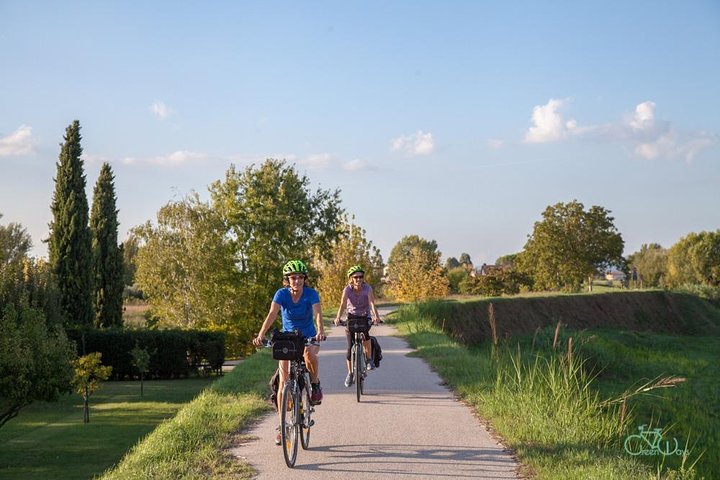 Spello E-bike og vin tur med naturskjønne vingård lunsj