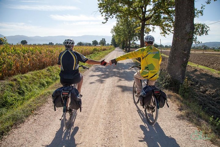 Spello E-bike og vin tur med naturskjønne vingård lunsj